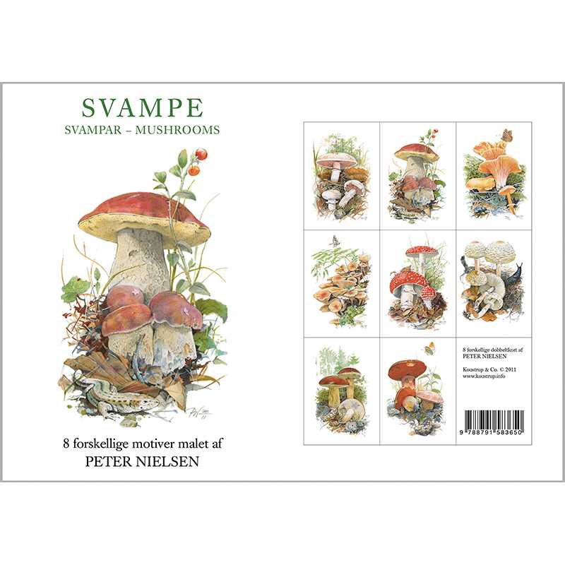 Mushrooms Stationery Folder with Set of 8 Note Cards