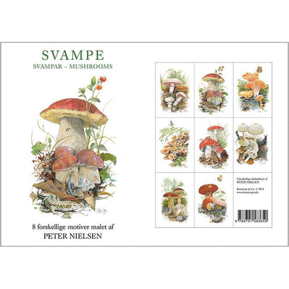 Mushrooms Stationery Folder with Set of 8 Note Cards