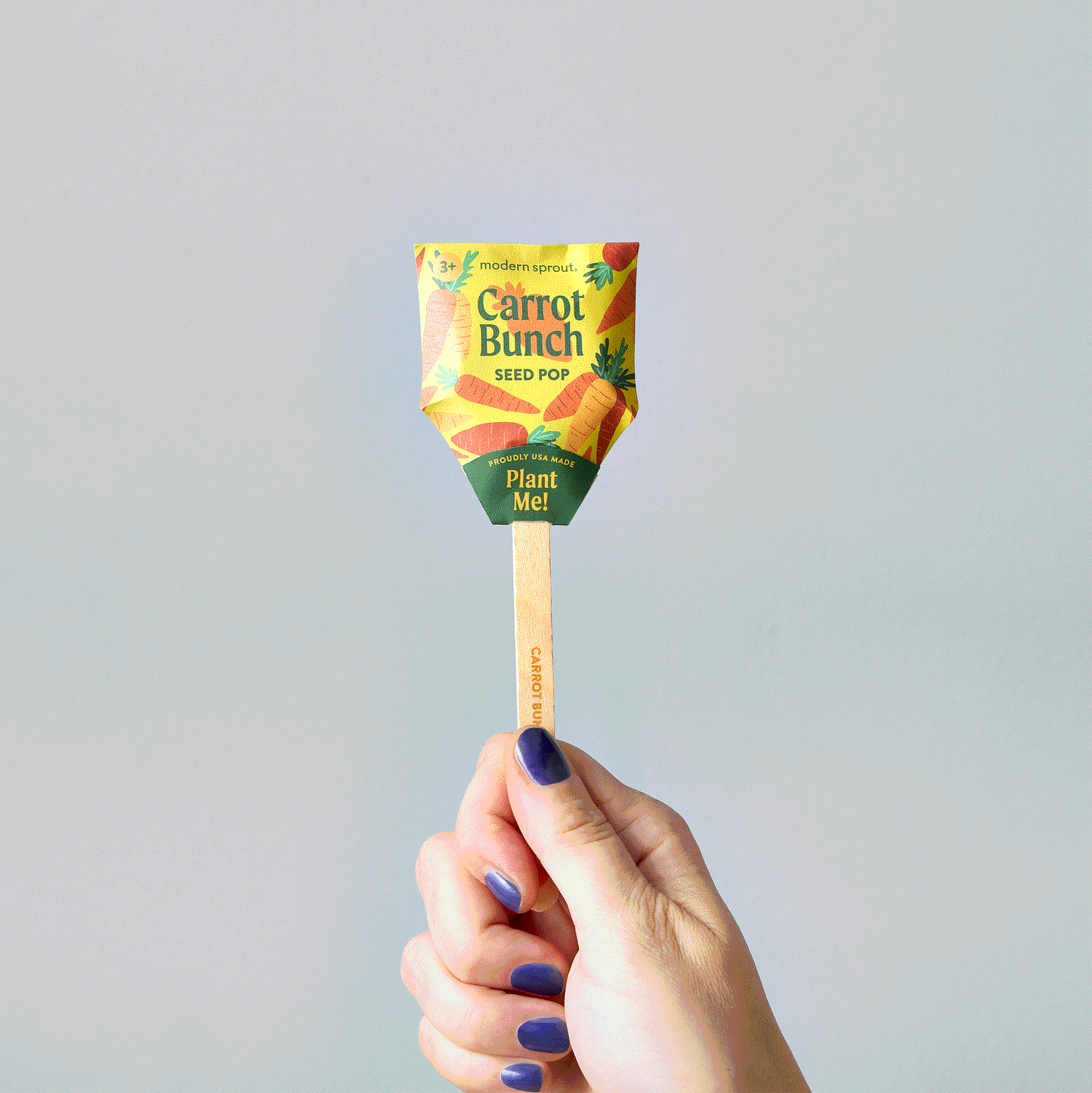Modern Sprout Seed Pops, Garden