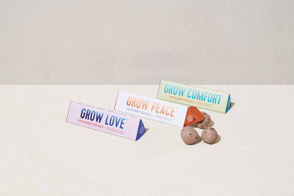 Modern Sprout Bright Side Seed Balls