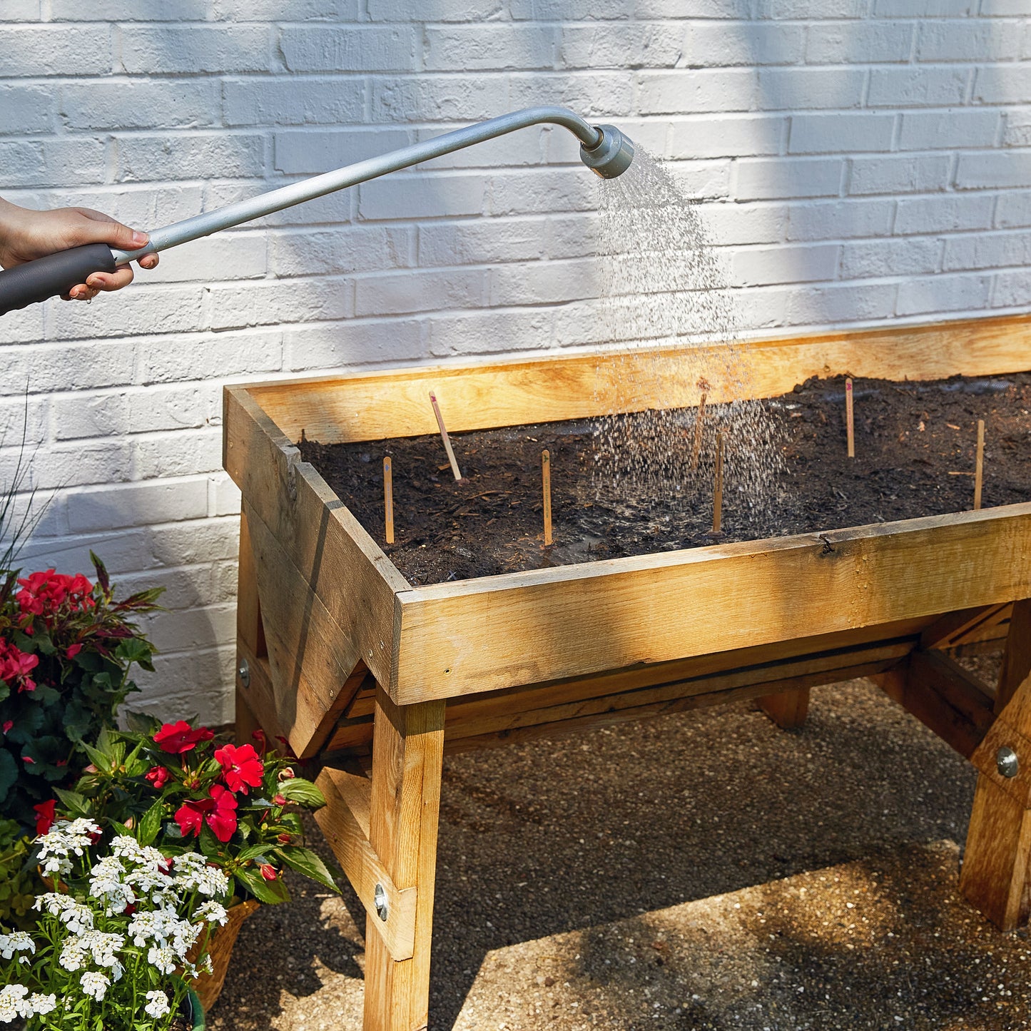 Modern Sprout Seed Pops, Pollinator