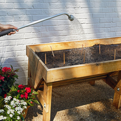 Modern Sprout Seed Pops, Garden